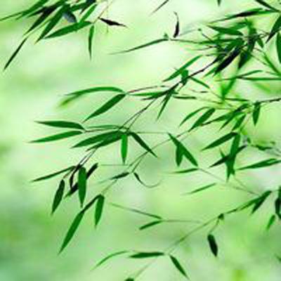 天空商人手机版